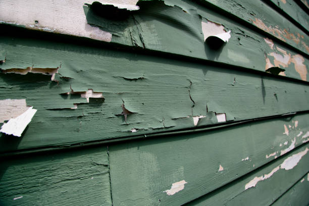 Affordable Siding Repair and Maintenance Services in Edgerton, MN